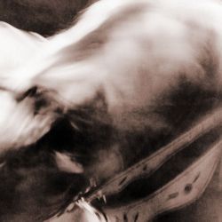 circo 07 taniawiedmann