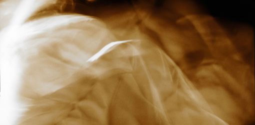 la danza 07 taniawiedmann