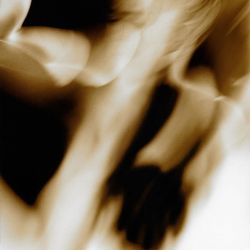 la danza 12 taniawiedmann